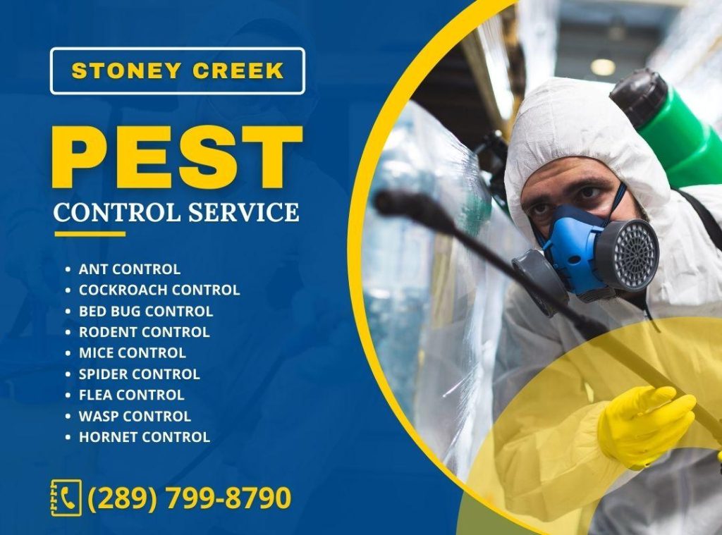 Top Rated Stoney Creek Pest Control Services Pest Management Company